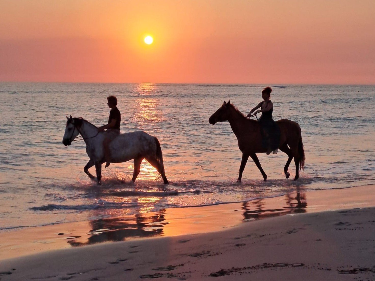 Balade-cheval-coucher-de-soleil-plage-oleron